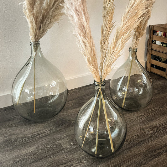 3 - Glasvasen, groß - inkl. Pampasgras